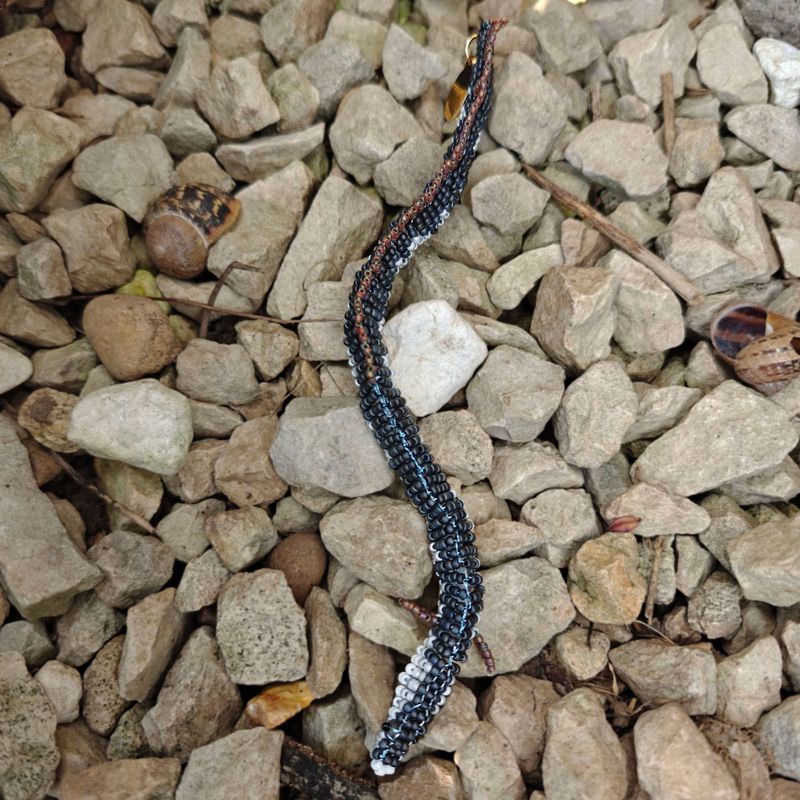 Mighty Silver Eel