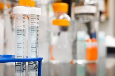 RT PCR Medical Diagnostic Laboratory - Self Assessment Checklist