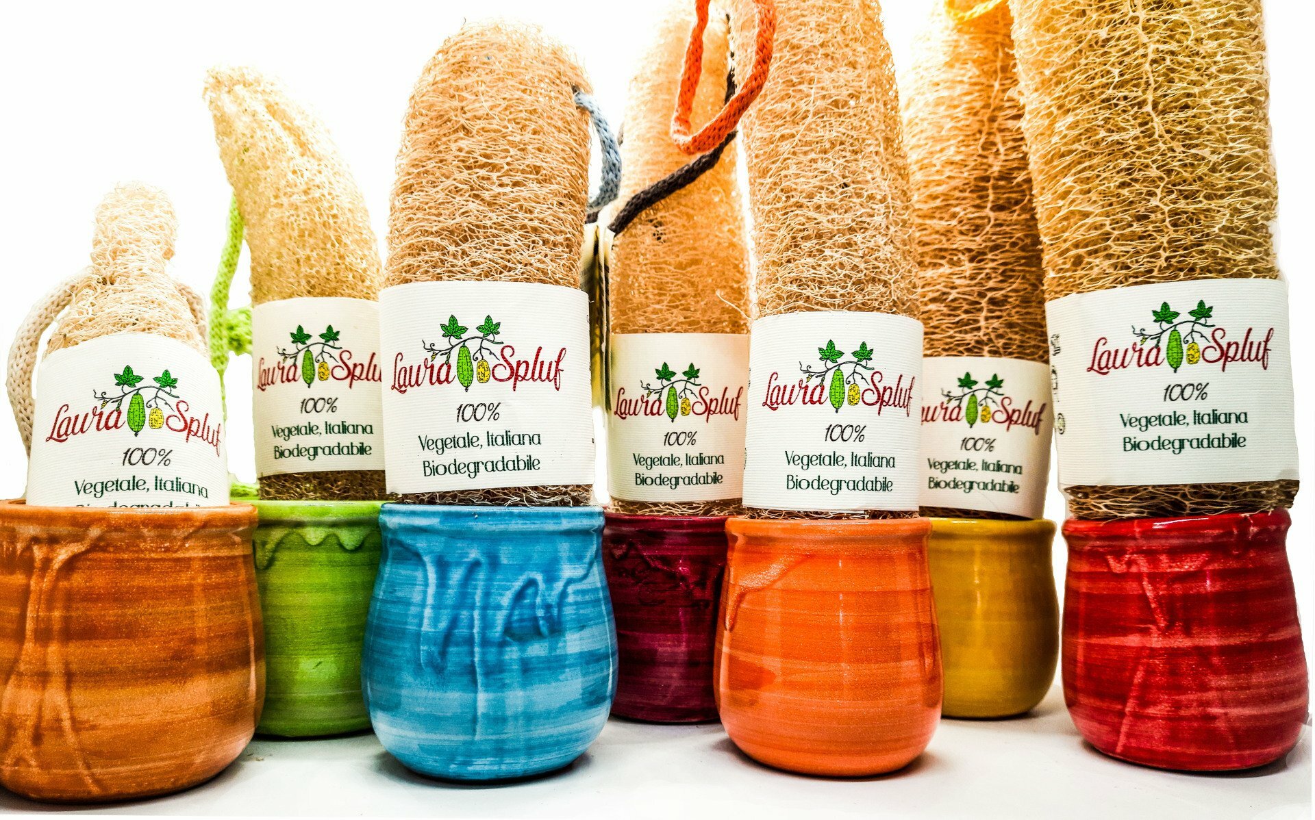 Luffa  italiana INTERA  -Laura Spluf-