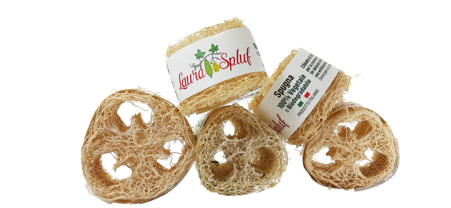 Cilindro di Luffa Italiana  -Laura Spluf-