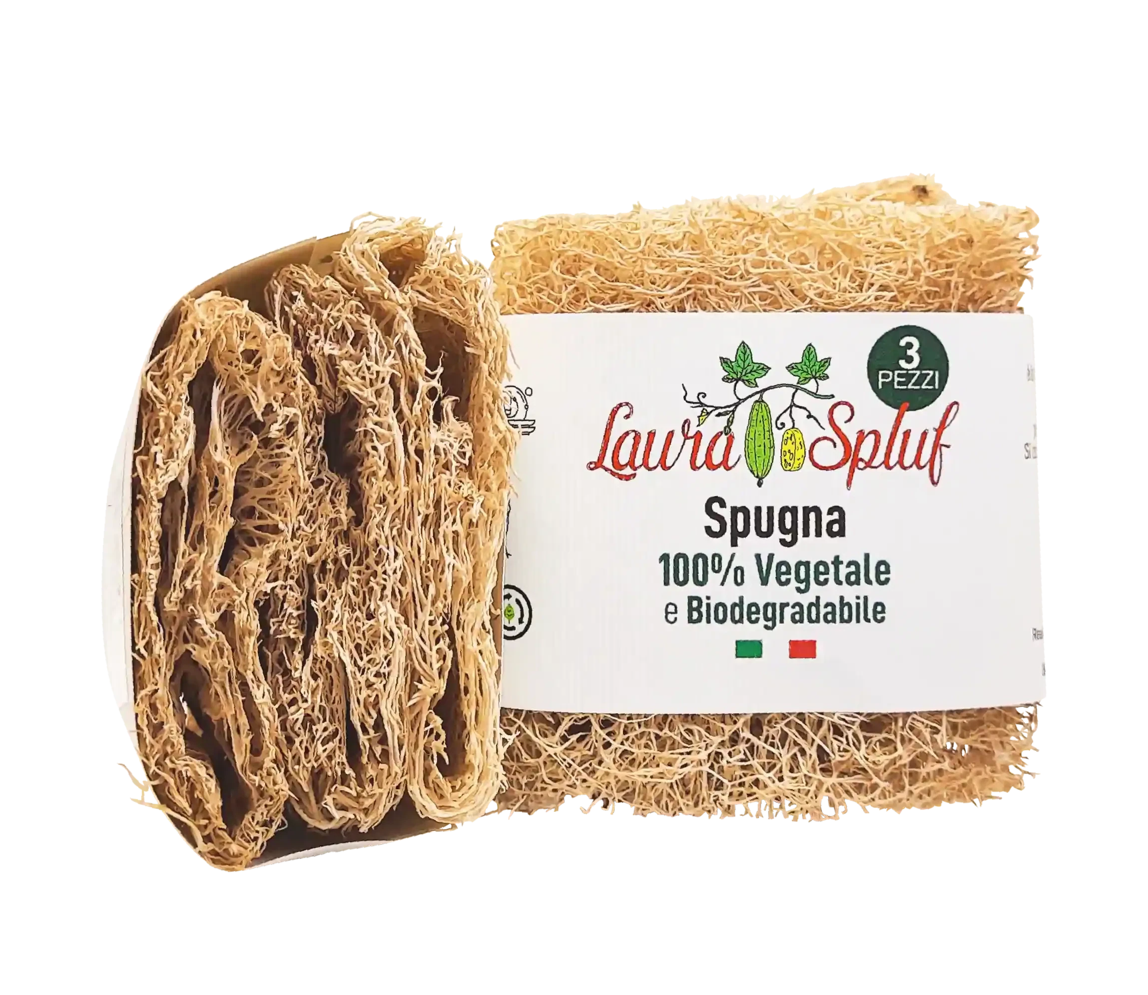 SET MULTIPLI DI CILINDRI di Luffa italiana  -Laura Spluf-