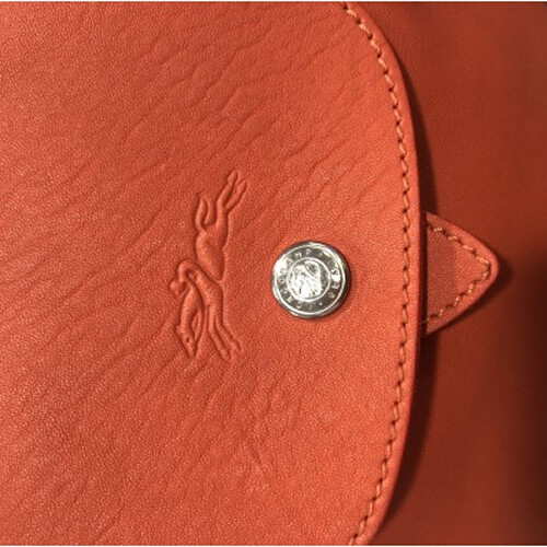 [Luxury City] Longchamp Le Pliage Cuir Backpack XS