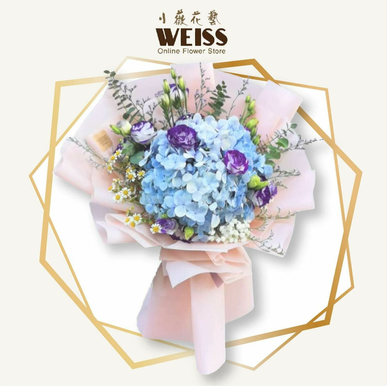 Weiss Florist Hydrangea (Free Shipping! Only deliver in JB)