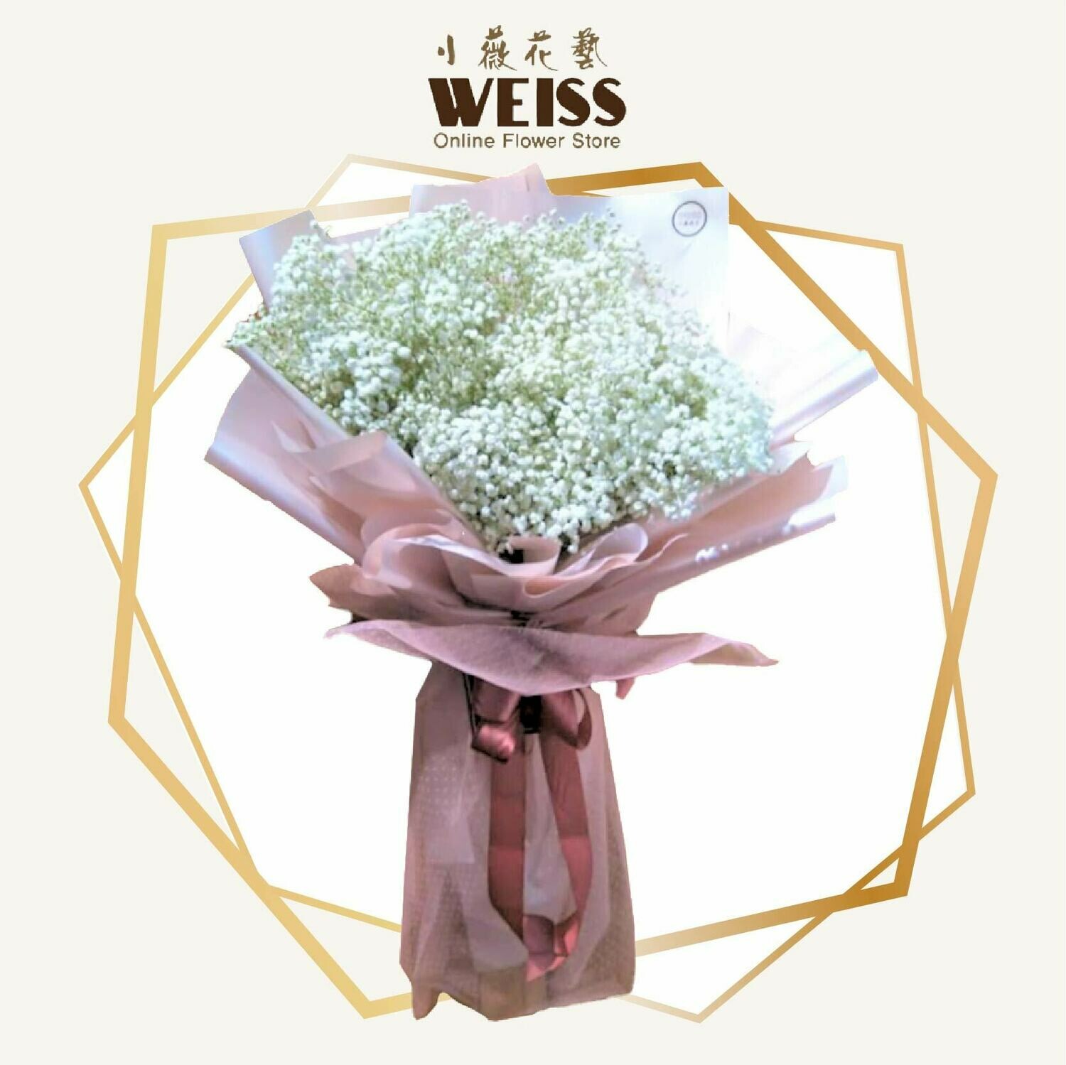 Weiss Florist Baby Breath (Free Shipping! Only deliver in JB)