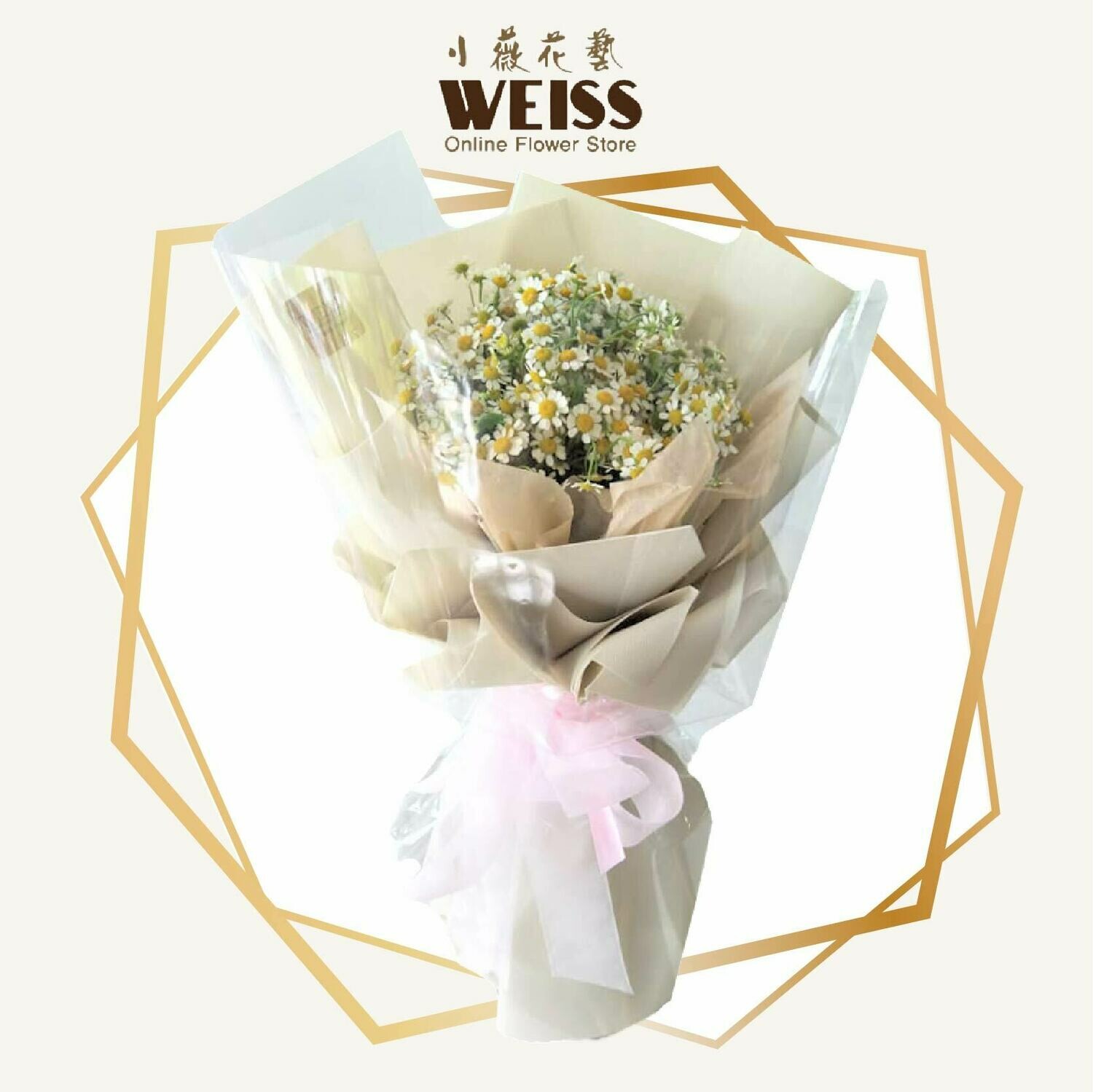 Weiss Florist Chamomile (Free Shipping! Only deliver in JB)