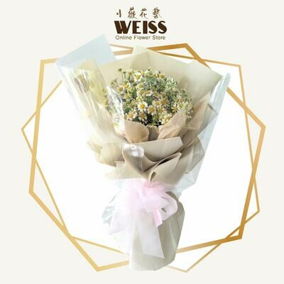 Weiss Florist Chamomile (Free Shipping! Only deliver in JB)