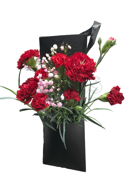 CARNATION IN BOX (By: Weiss Flora &amp; Gift From JB)