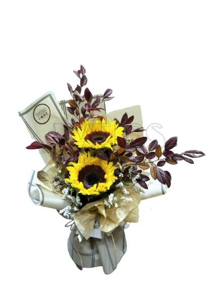 SUNSHINE BA BA (By: Weiss Flora &amp; Gift From JB)