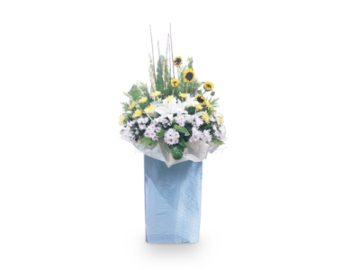 Heavenly Memories (By: Weiss Flora &amp; Gift From JB)