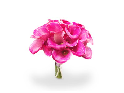 Simple Love (By: Weiss Flora &amp; Gift From JB)