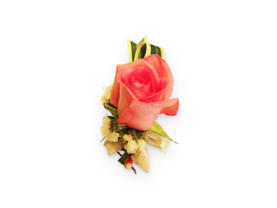 Champagne Pink Corsage (By: Weiss Flora &amp; Gift From JB)