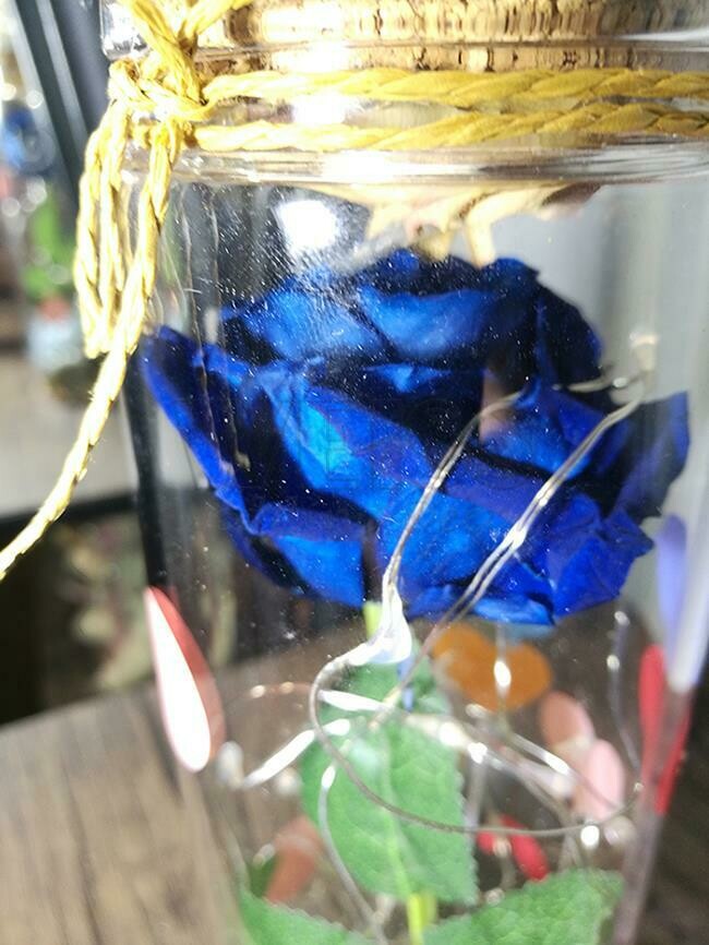 PRESERVED FLOWER (By: Weiss Flora &amp; Gift From JB)