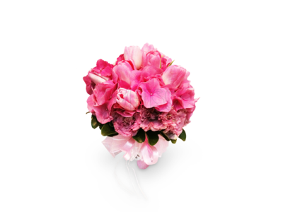 Elegance Pink (By: Weiss Flora &amp; Gift From JB)