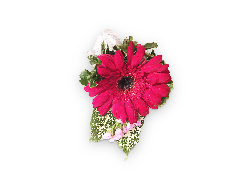 Red Gerbera Corsage (By: Weiss Flora & Gift From JB)