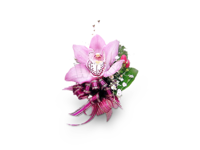 Purple Elegance Corsage (By: Weiss Flora &amp; Gift From JB)