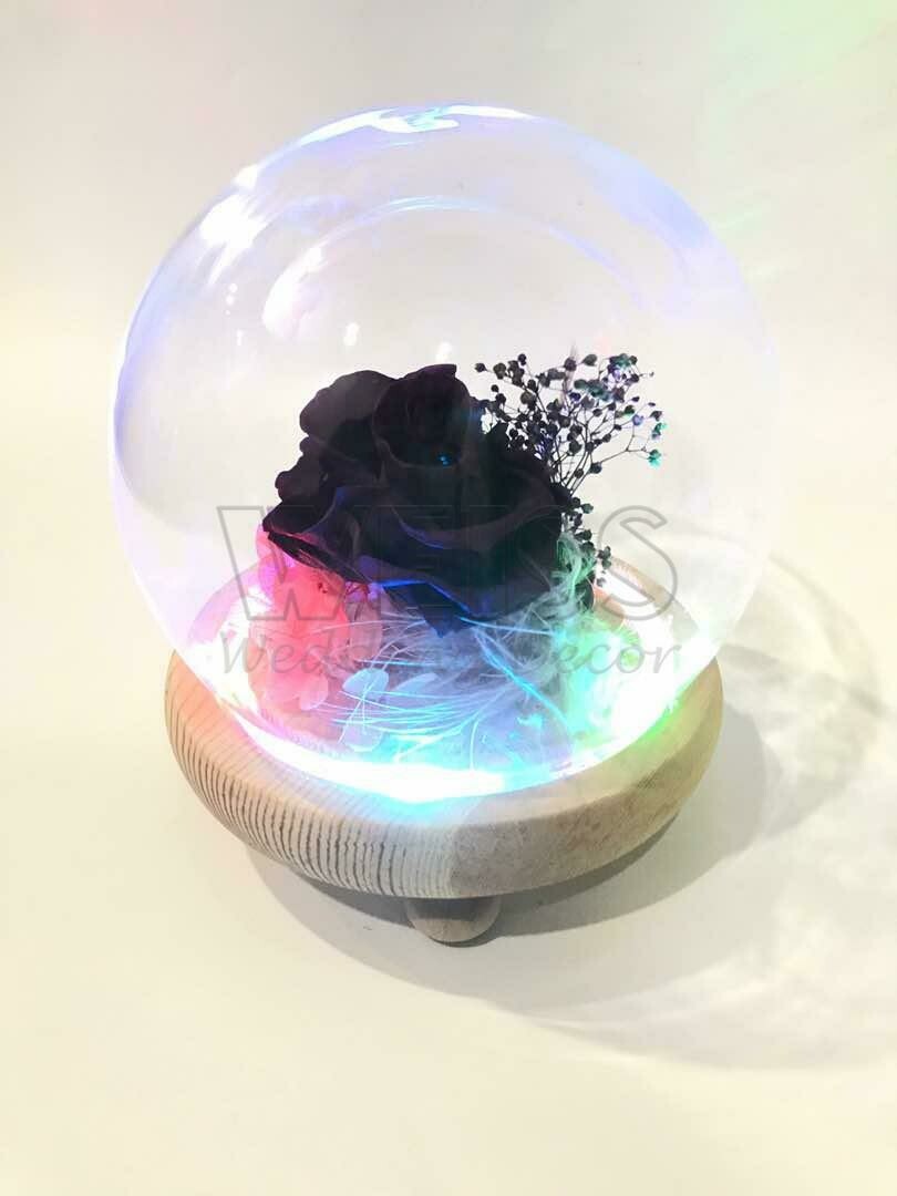 PRESERVED BLACK ROSE (By: Weiss Flora & Gift From JB)