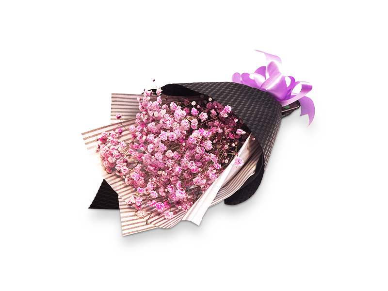 BABY BREATH (Pink) (By: Weiss Flora &amp; Gift From JB)