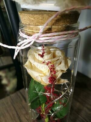 PRESERVED FLOWER (By: Weiss Flora &amp; Gift From JB)