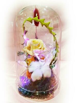 PRESERVED FLOWER (By: Weiss Flora &amp; Gift From JB)