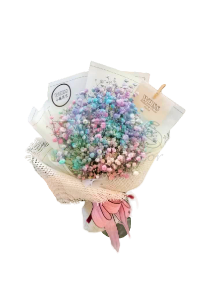 RAINBOW BABY BREATH (By: Weiss Flora &amp; Gift From JB)
