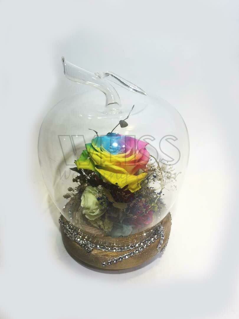 PRESERVED RAINBOW ROSE (By: Weiss Flora & Gift From JB)