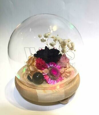 PRESERVED BLACK ROSE (By: Weiss Flora &amp; Gift From JB)