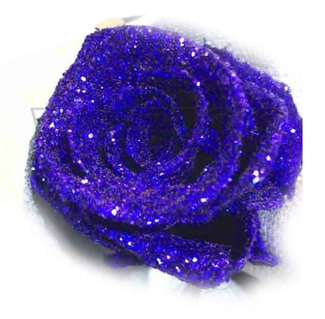 SHINE BLUE (By: Weiss Flora &amp; Gift From JB)