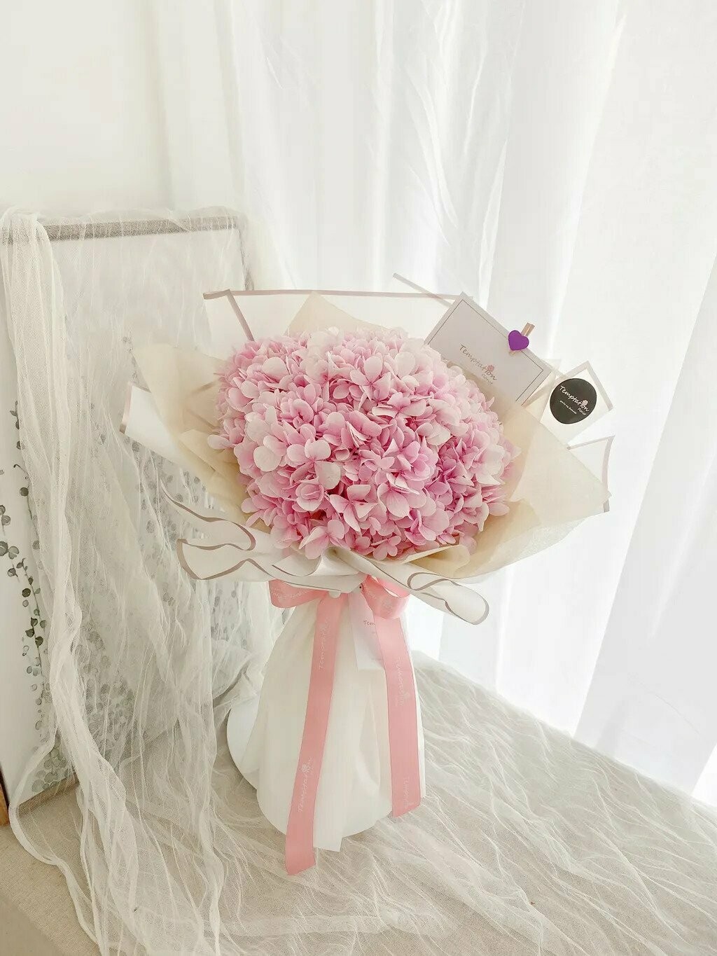 Shyness (By: Temptation Florist from Seremban)