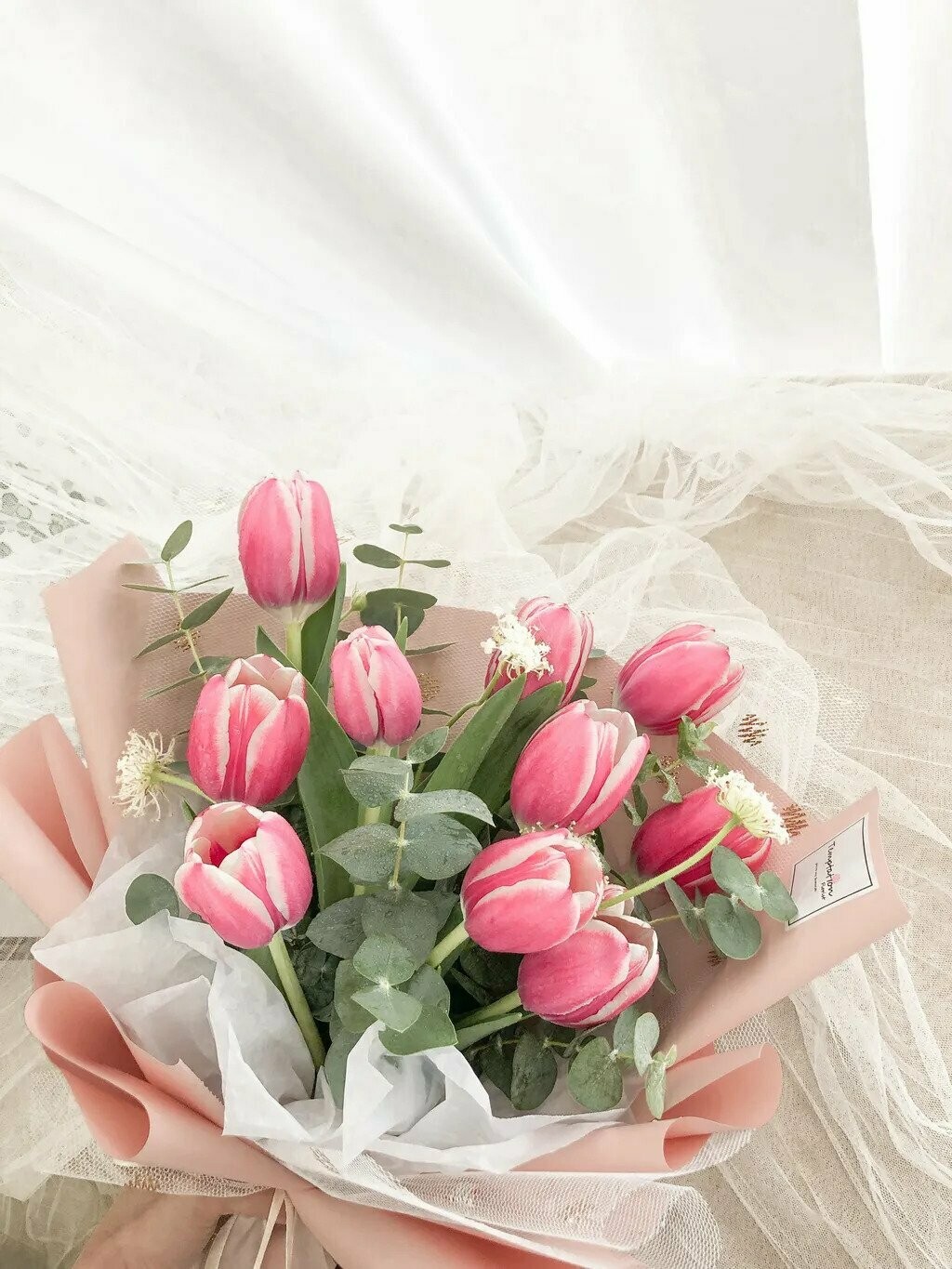 Sandra (By: Temptation Florist from Seremban)