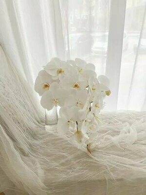 Orchids (By: Temptation Florist from Seremban)