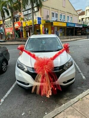Bridal Car Deco Nets #11 (By: Temptation Florist from Seremban)