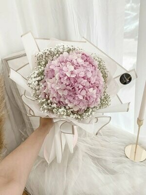 Hydra (By: Temptation Florist from Seremban)