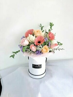 Mishi (By: Temptation Florist from Seremban)