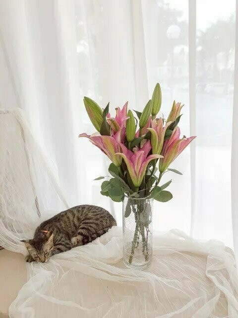 Blessed Lily (Fresh) (By: Temptation Florist from Seremban)