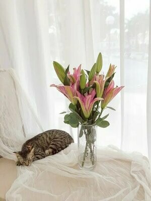 Blessed Lily (Fresh) (By: Temptation Florist from Seremban)