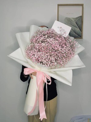 Baby Breath Size L Pink (By: Rovtea Empire from Ampang)