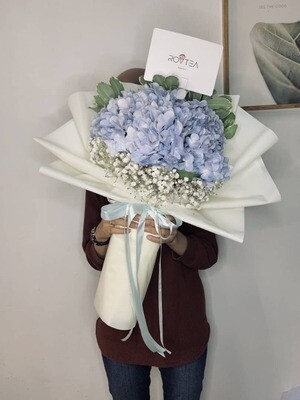2 Hydrangea Blue+Baby Breath XS (By: Rovtea Empire from Ampang)