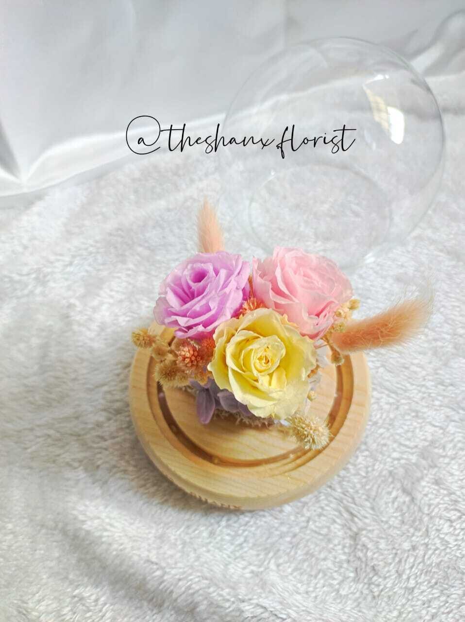 Macaron Colours Preserved Flower Glass Globe (By: The Shanx Florist from Melaka)