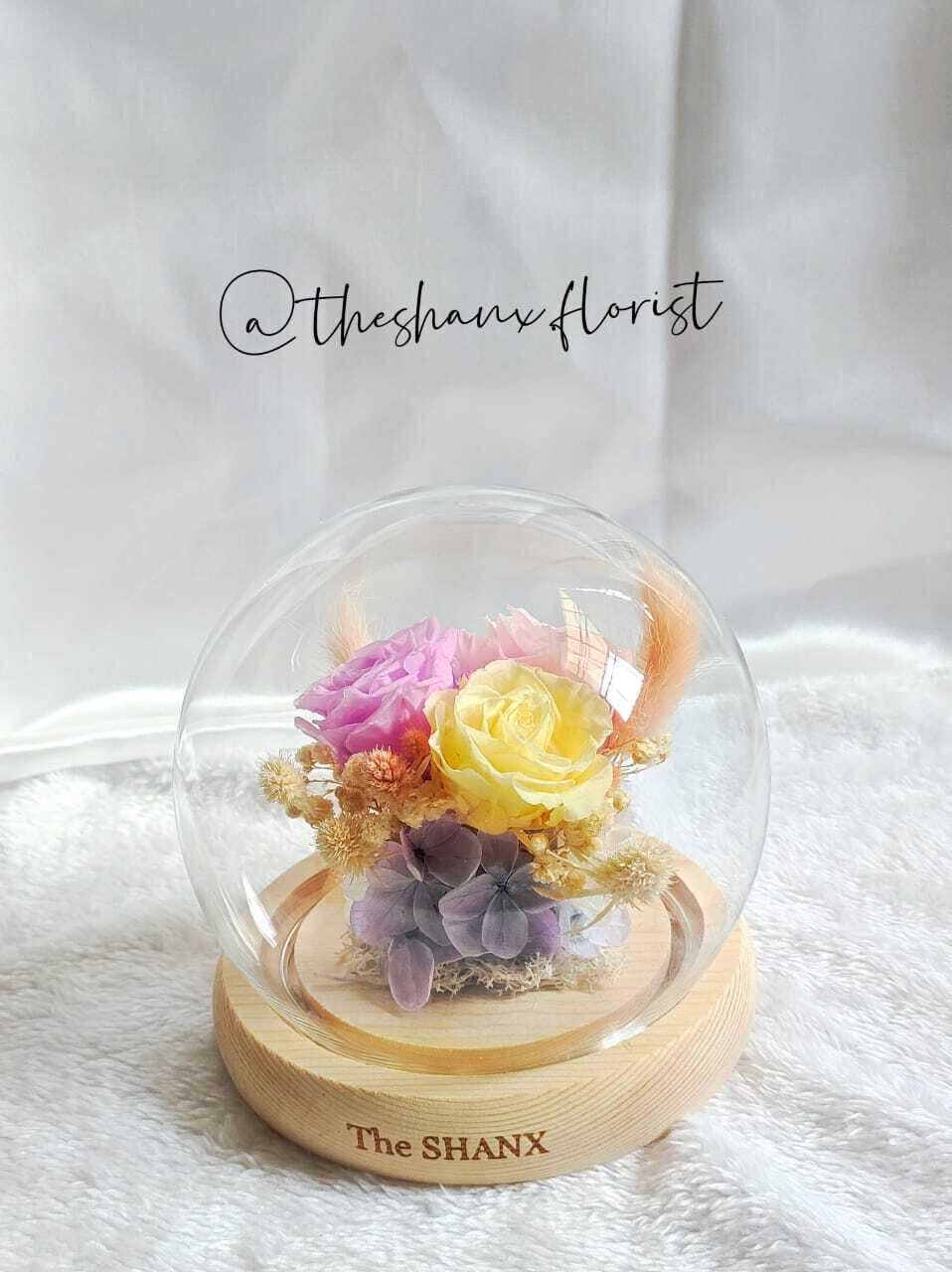 Macaron Colours Preserved Flower Glass Globe (By: The Shanx Florist from Melaka)