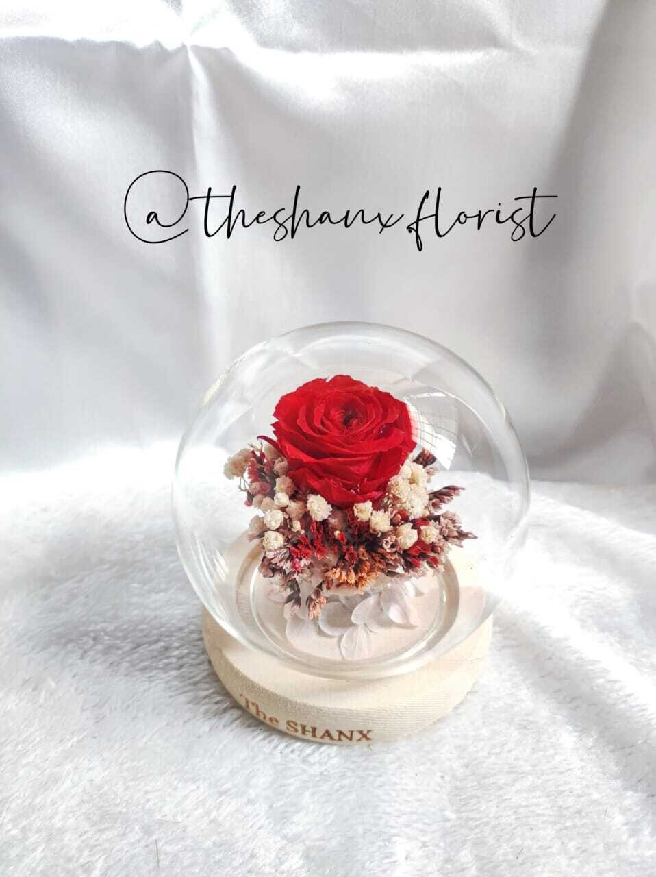 Only You Preserved Flower Glass Globe (By: The Shanx Florist from Melaka)