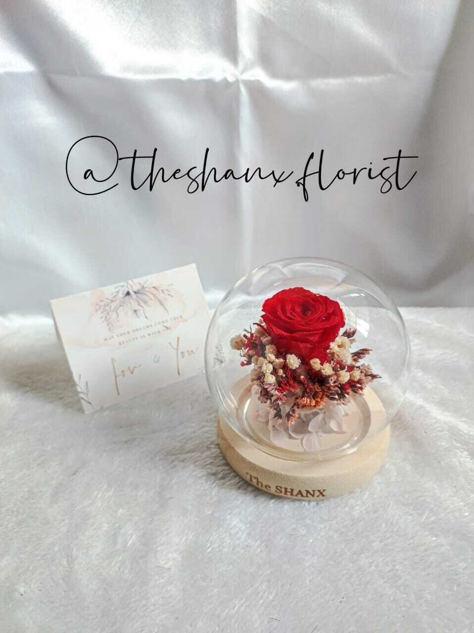 Only You Preserved Flower Glass Globe (By: The Shanx Florist from Melaka)