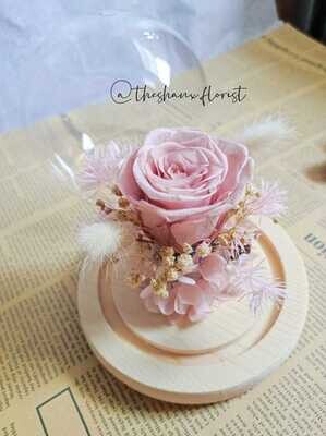 Pink White Theme Preserved Flower Glass Globe (By: The Shanx Florist from Melaka)