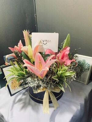 6 LILY+BOX (By: Rovtea Empire from Ampang)