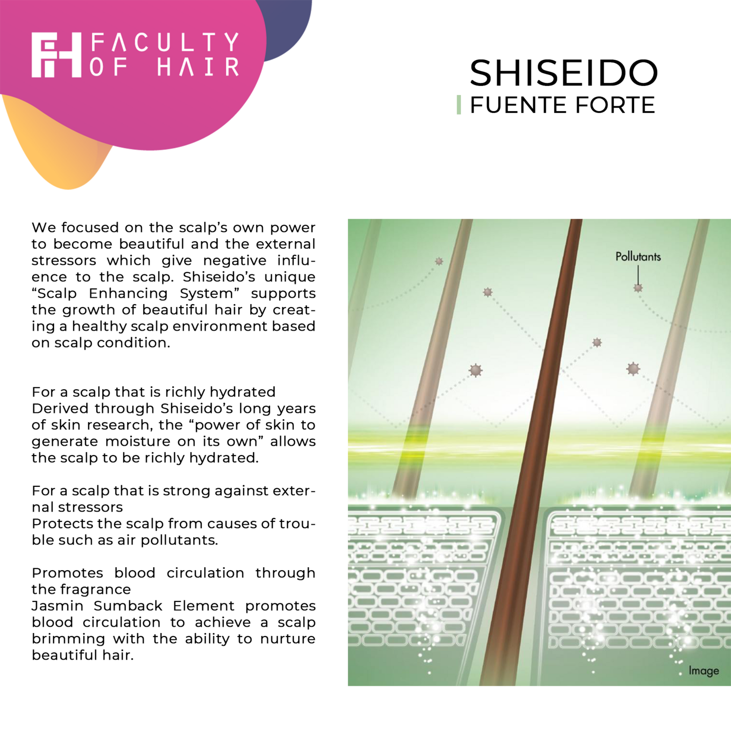 Shiseido Professional Sublimic Fuente Forte Shampoo (Dandruff Scalp) 500ml (By: Faculty of Hair)