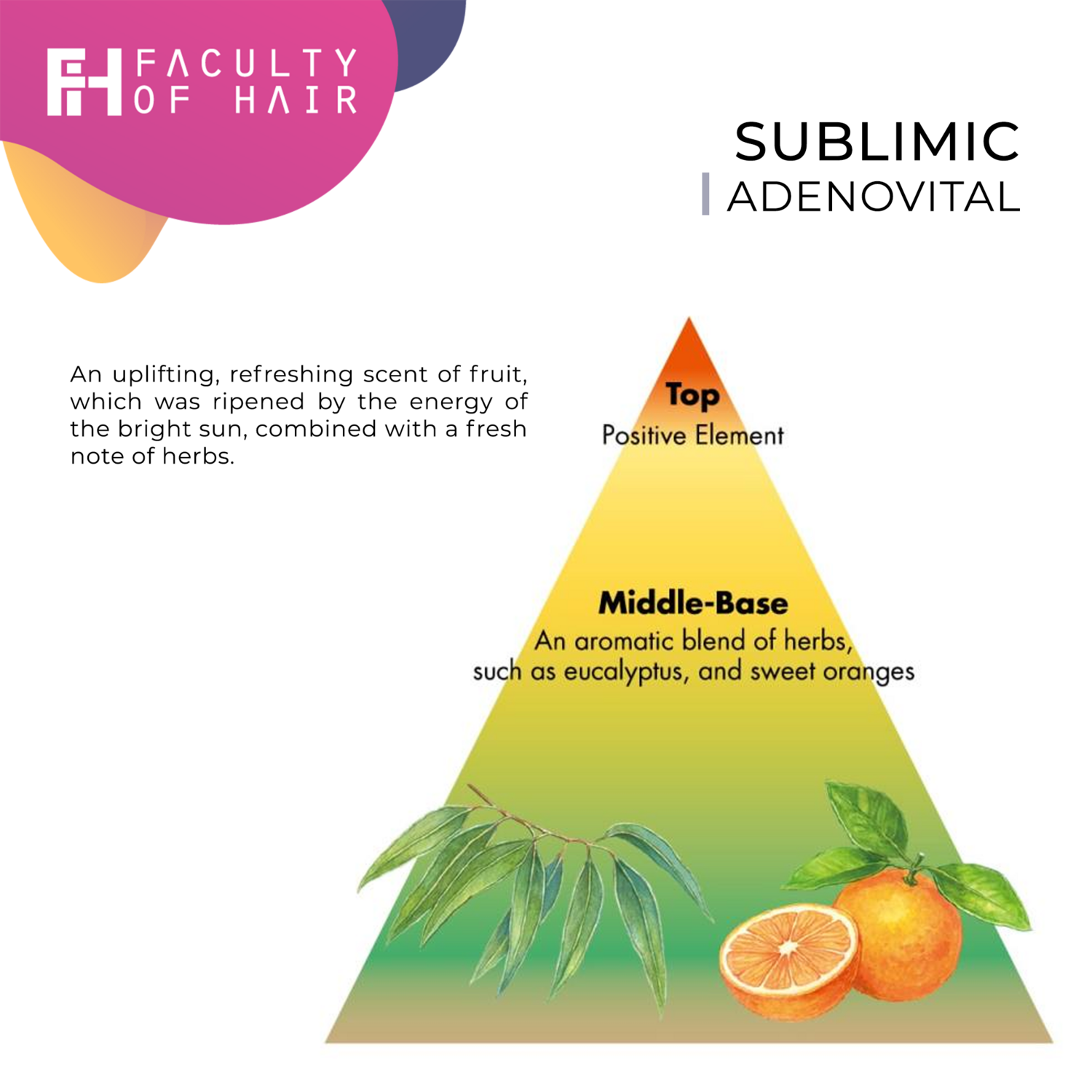 Shiseido Sublimic Adenovital Thinning Hair Treatment 250ml (By: Faculty of Hair)