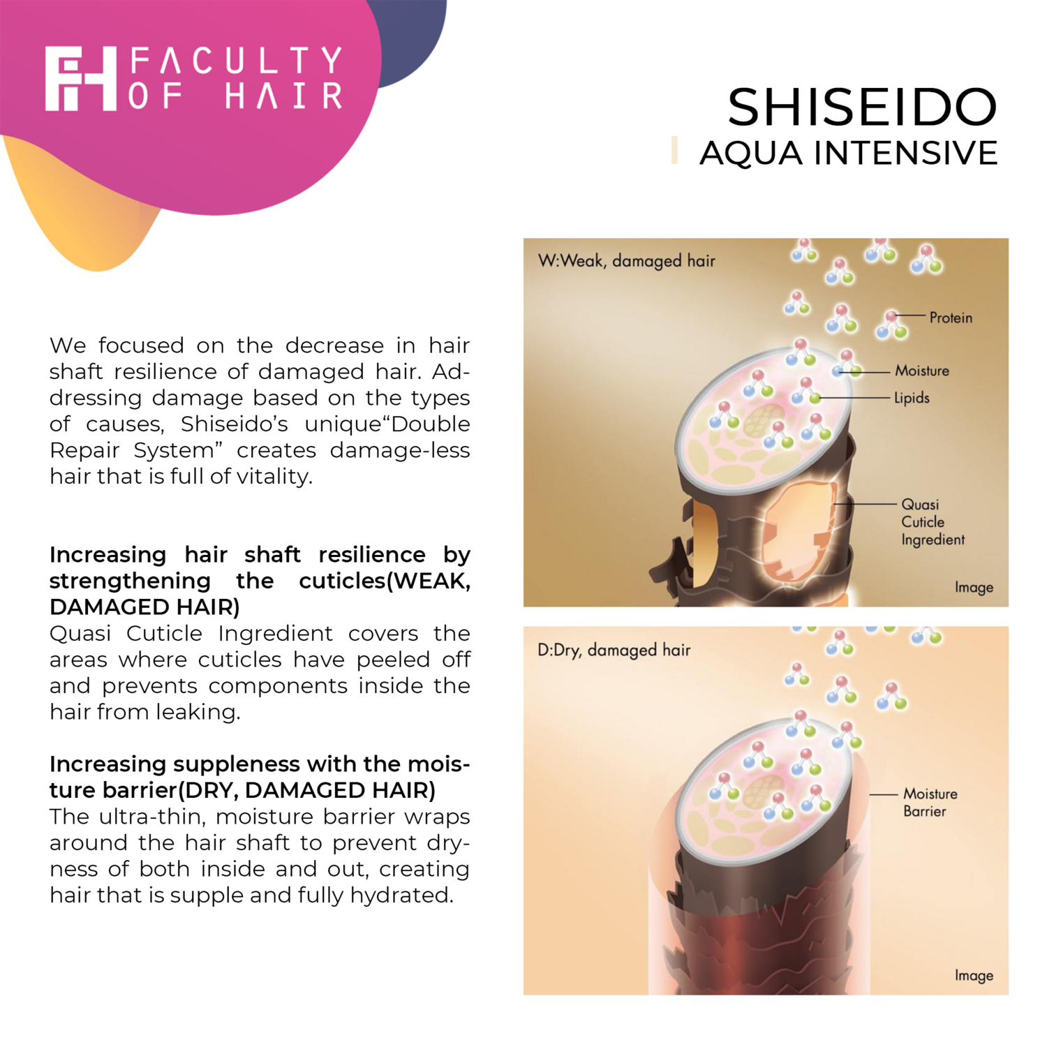 Shiseido Professional Sublimic Aqua Intensive Velvet Oil 100ml (By: Faculty of Hair)