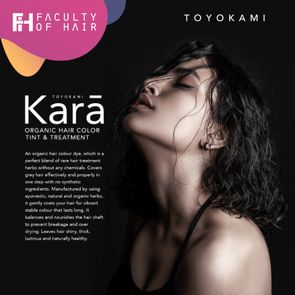 Toyokami Kara Black (Organic Hair Color/ Organic Hair Tint/ Organic Hair Treatment) For Grey Hair 100g (By: Faculty of Hair)