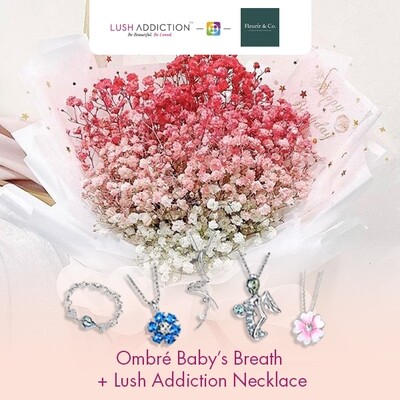 Ombré Baby’s Breath + Lush Addiction Necklace (By: Fleurir & Co from Kuching)