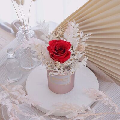 Darling (Red) (By: XOXO The Floral Studio from Miri)