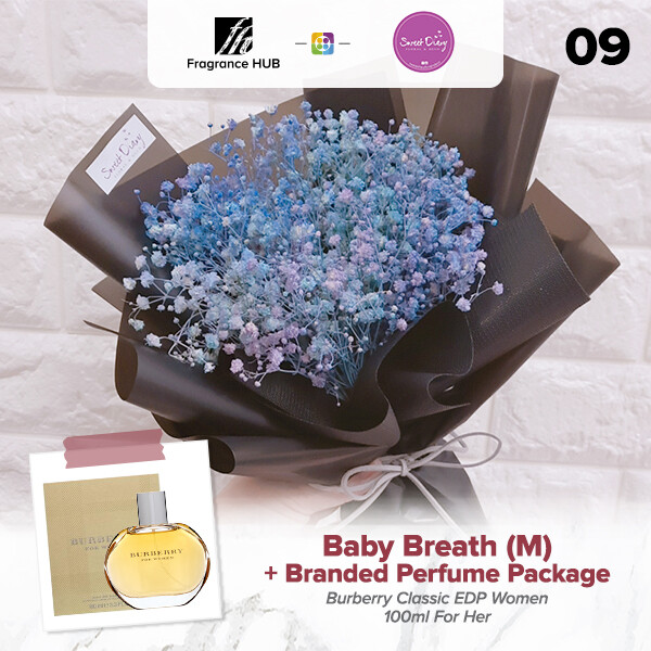 Baby Breath (M Size) + Fragrance Hub Branded Perfume (By: Sweet Diary from Puchong)